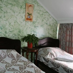 Sunny Guest House thumbnail 9