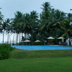 Taprobana Wadduwa by Asia Leisure thumbnail 15