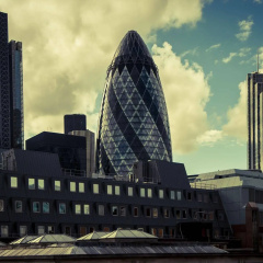 Native Tower Hill