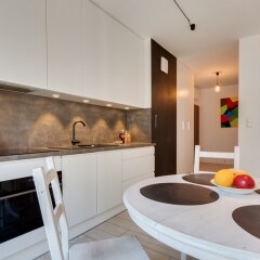Отель Penguin Apartments Downtown Польша, Вроцлав - отзывы, цены и фото номеров - забронировать отель Penguin Apartments Downtown онлайн фото 6