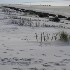 Westerland mit Sonnenbalkon - Bild 9