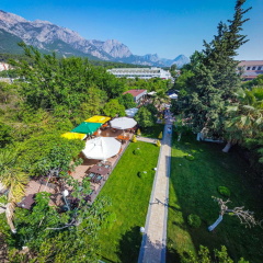 Rose Resort Hotel - Bild 25