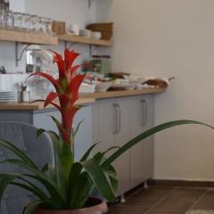 Piano Hotel - Bild 15