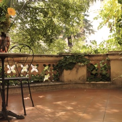 Hotel Villa delle Rose - Bild 26