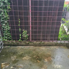 Dobar san photo 4