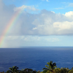 Tet Rouge Resort St. Lucia thumbnail 22