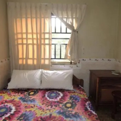 Green Guesthouse thumbnail 4