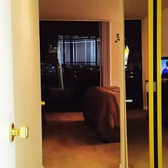 888 Convention Center 3 BEDROOM 2 BATH Condos - Bild 3