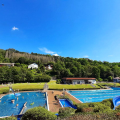 Ferienwohnung Rhododendron - Natur pur Kinderparadies - Bild 8
