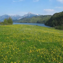 Pension Garni Steigmhle - Bild 10
