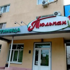 Tyulpan photo 2