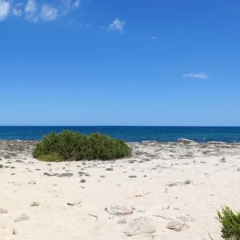 Mallorca Holiday House for Rent Del mar 37 - Bild 2