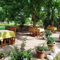 Olympos Yavuz Hotel - Bild 18