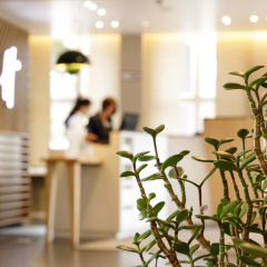 Holiday Inn Dresden - Am Zwinger by IHG - Bild 28