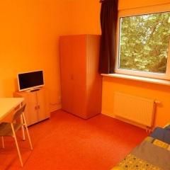 Home at Friends - Bild 2