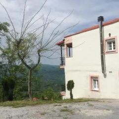 Guesthouse Kastanias thumbnail 11
