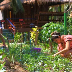 Thai Thana Resort thumbnail 9