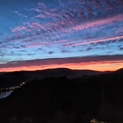 Schau-Rhein#1 - On top of Bacharach, Rhineview - Bild 5