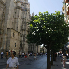 Catedral Boutique - Bild 18