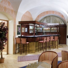 Erzherzog Johann Palais Hotel - Bild 24