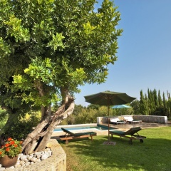 Finca Alzina - Bild 13
