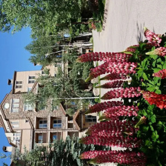 Woodrun Place, a Destination by Hyatt Residence thumbnail 42
