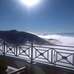 Astoria Lux - K16 Milmari in Kopaonik, Serbia from 115$, photos, reviews - zenhotels.com photo 16