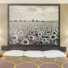 Super 8 by Wyndham Iola KS thumbnail 12
