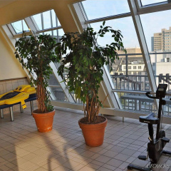 Savoy Hotel Frankfurt - Bild 24