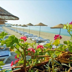 Divine Beach Resort Kumburgaz - Bild 19