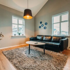 Baldur Apartments in Reykjavik, Iceland from 371$, photos, reviews - zenhotels.com photo 30