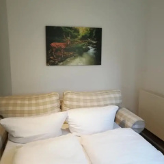 Waldhotel Forsthaus Remstecken - Bild 4