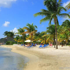 Le Flamboyant Hotel and Resort in Sandy Ground, St. Martin from 157$, photos, reviews - zenhotels.com photo 9