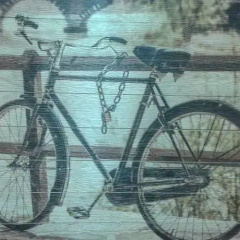 Trastevere & Free Bikes thumbnail 9