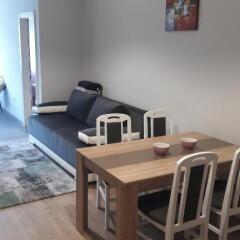 Apartmani V&F in Vrnjacka Banja, Serbia from 81$, photos, reviews - zenhotels.com photo 47