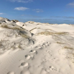 Hotel Südstrand Amrum - Bild 3