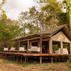 Glamping Los Palmares photo 4