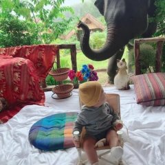 Mai Wang Elephant Homestay in Mae Wang, Thailand from 39$, photos, reviews - zenhotels.com photo 8