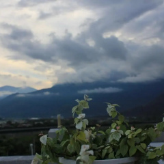Sunny Breeze Garden thumbnail 17