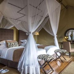 Mutara Camp thumbnail 5
