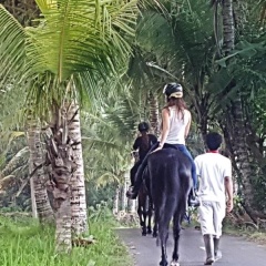 Kanomayasa Ubud Villa - Bild 18