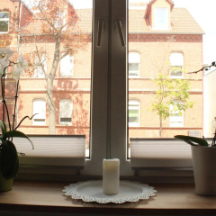 Gästewohnung Müntzer - Bild 6