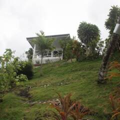 Apoomatai Bay Bungalow in Huahine, French Polynesia from 410$, photos, reviews - zenhotels.com photo 3