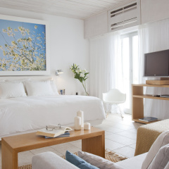 Grace Mykonos thumbnail 5