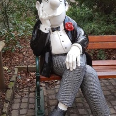 Birke - Bild 4