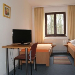 Zimmerfrei - Bild 3