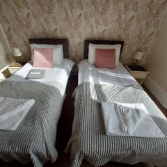 The Patricia thumbnail 3
