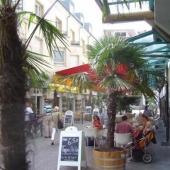 Alfa Hotel - Bild 18