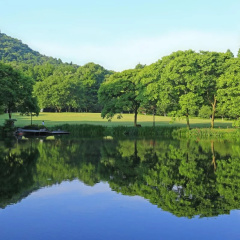 Hangzhou Daisy Youth Hostel thumbnail 11