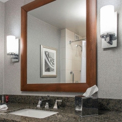 Rochester Airport Marriott thumbnail 9